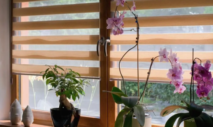 Upgrade Your Office Design with Easy-to-Install Online Window Blinds