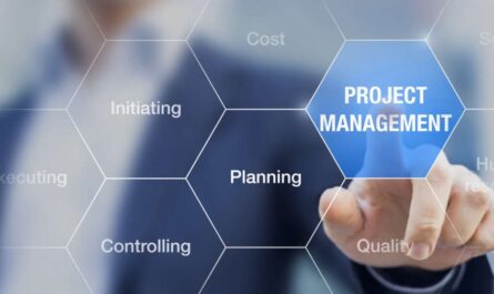 Navigating Excellence in Dubai's Project Management Services